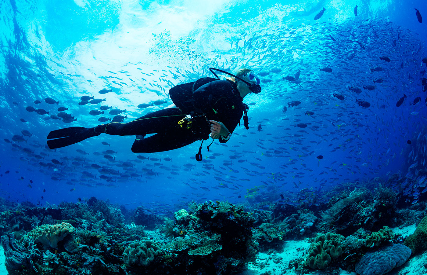 Open Water Diving