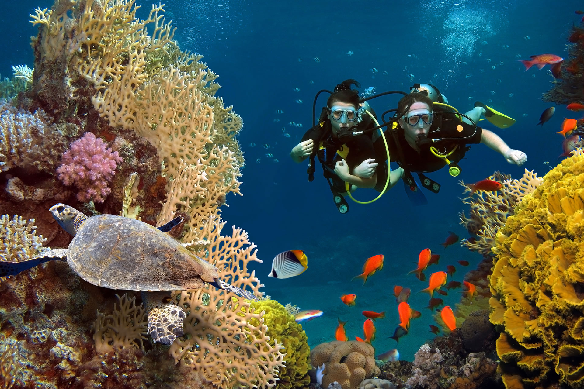 Discover Scuba Diving